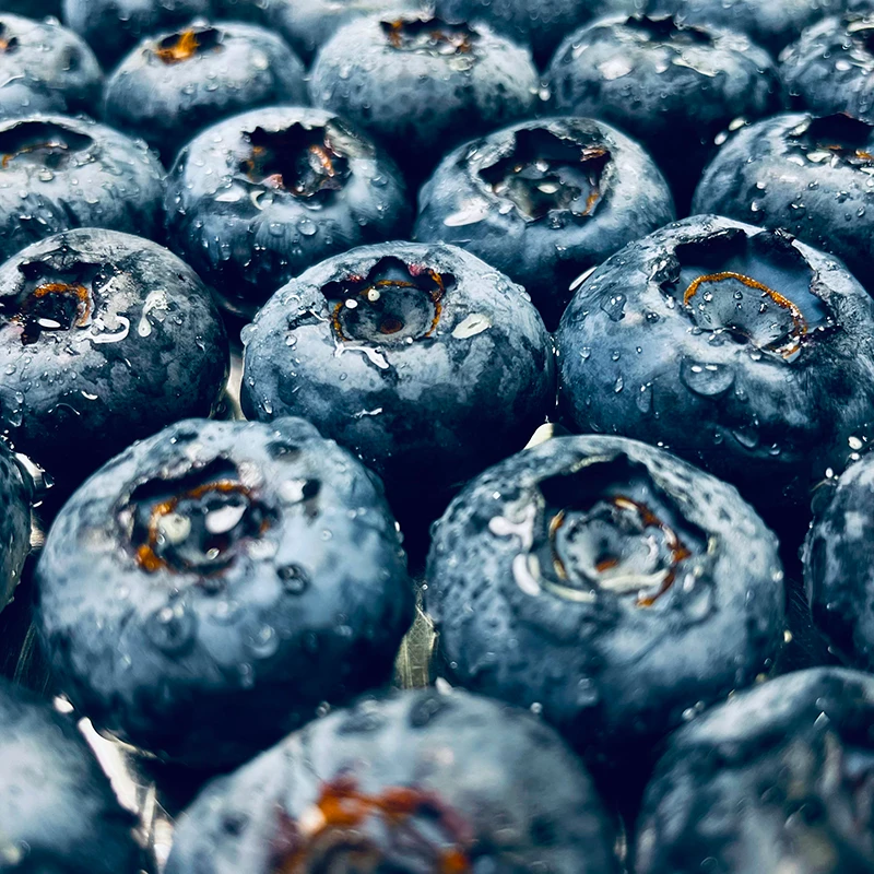 秘鲁JUMBO Blueberry 特大果16-20+mm蓝莓60g/盒细腻香甜顺丰包邮