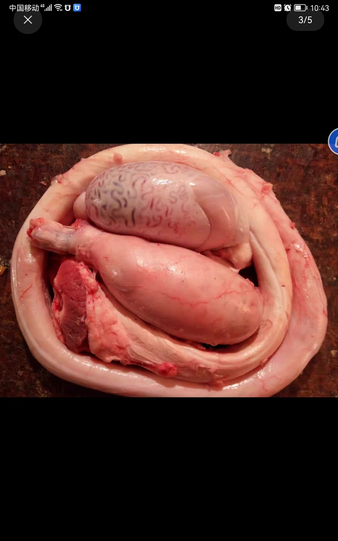 清真新鲜牛鞭牛蛋净含量1500g左右泡酒牛睪丸整套包邮饭酒店