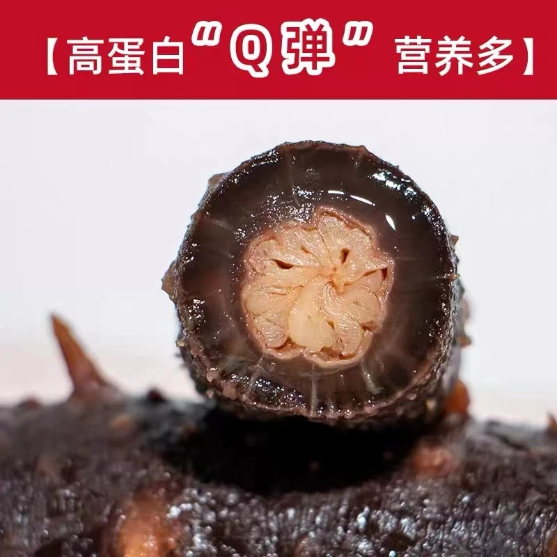 海格拉斯深海野生即食美国红参非辽刺参