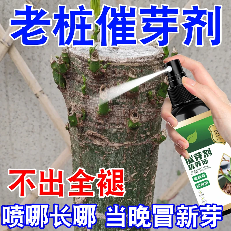 催芽发枝促发芽催芽剂园林果树促芽分化营养液细胞分类素免稀释
