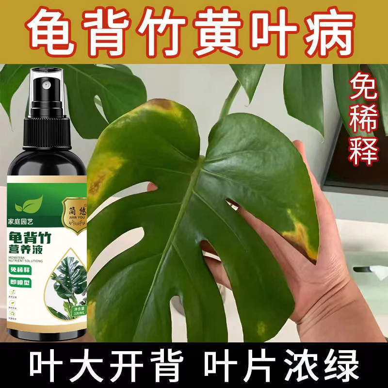 【花卉专用】龟背竹营养液专用花肥专治发黄枯萎黑斑发蔫免稀释喷