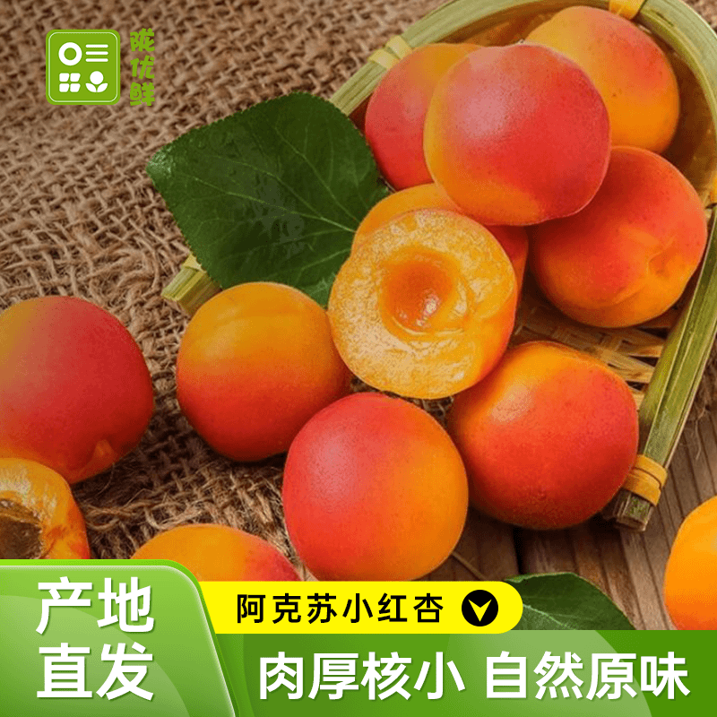 陇优鲜新疆小红杏当季新鲜水果软糯香甜产地直发现摘空运坏果包赔