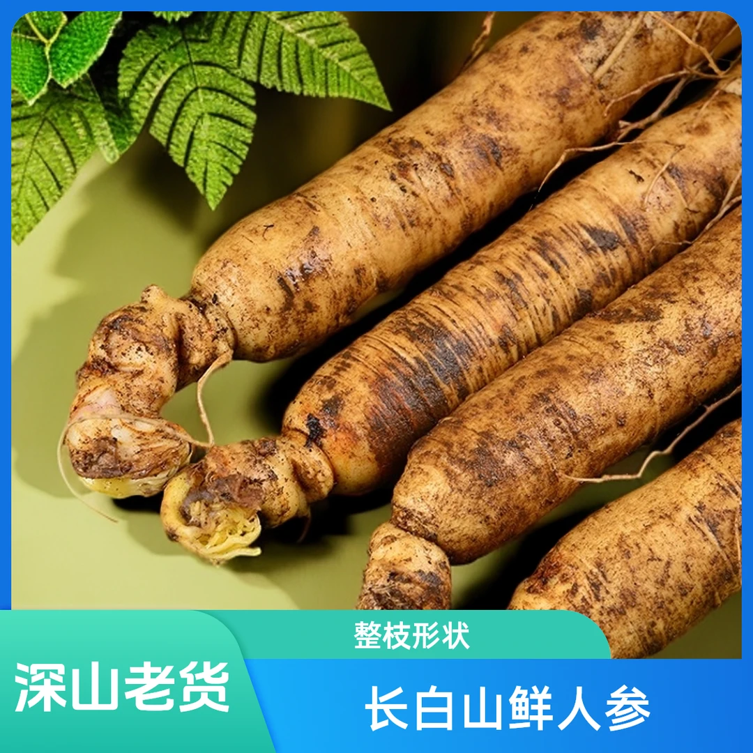 【单支8-13克共10枝】长白山鲜人参煲汤泡水泡酒深山老货炖鸡炖汤