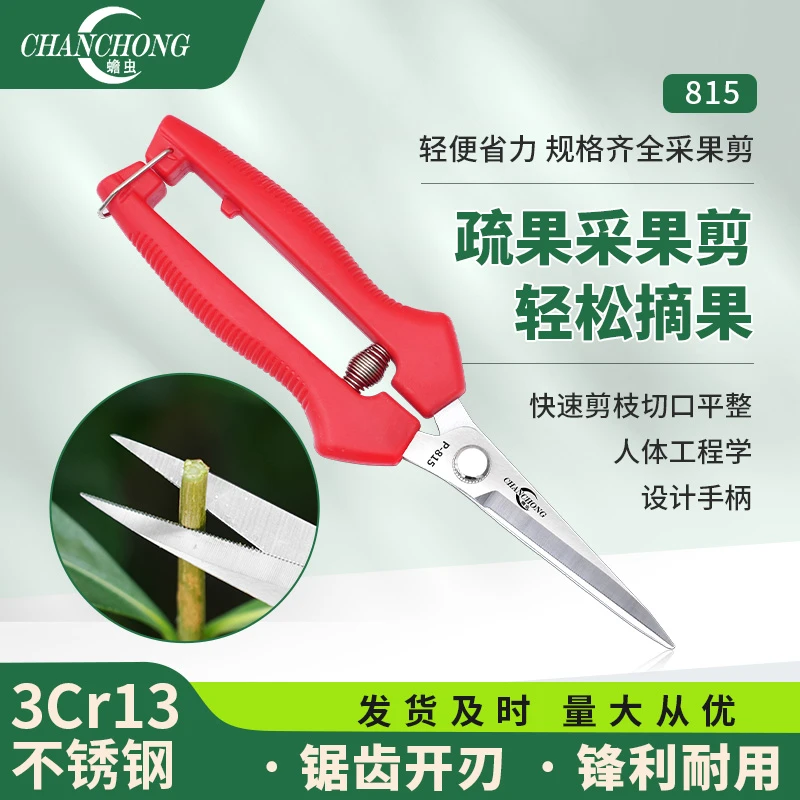 蟾虫815园艺剪刀蔬果专用剪摘果剪摘花椒翘头修花剪月季剪果树