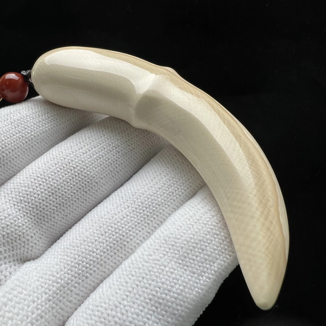 L1360天然猛犸象牙 雕刻牙尖79mm支持鉴定 假一罚四