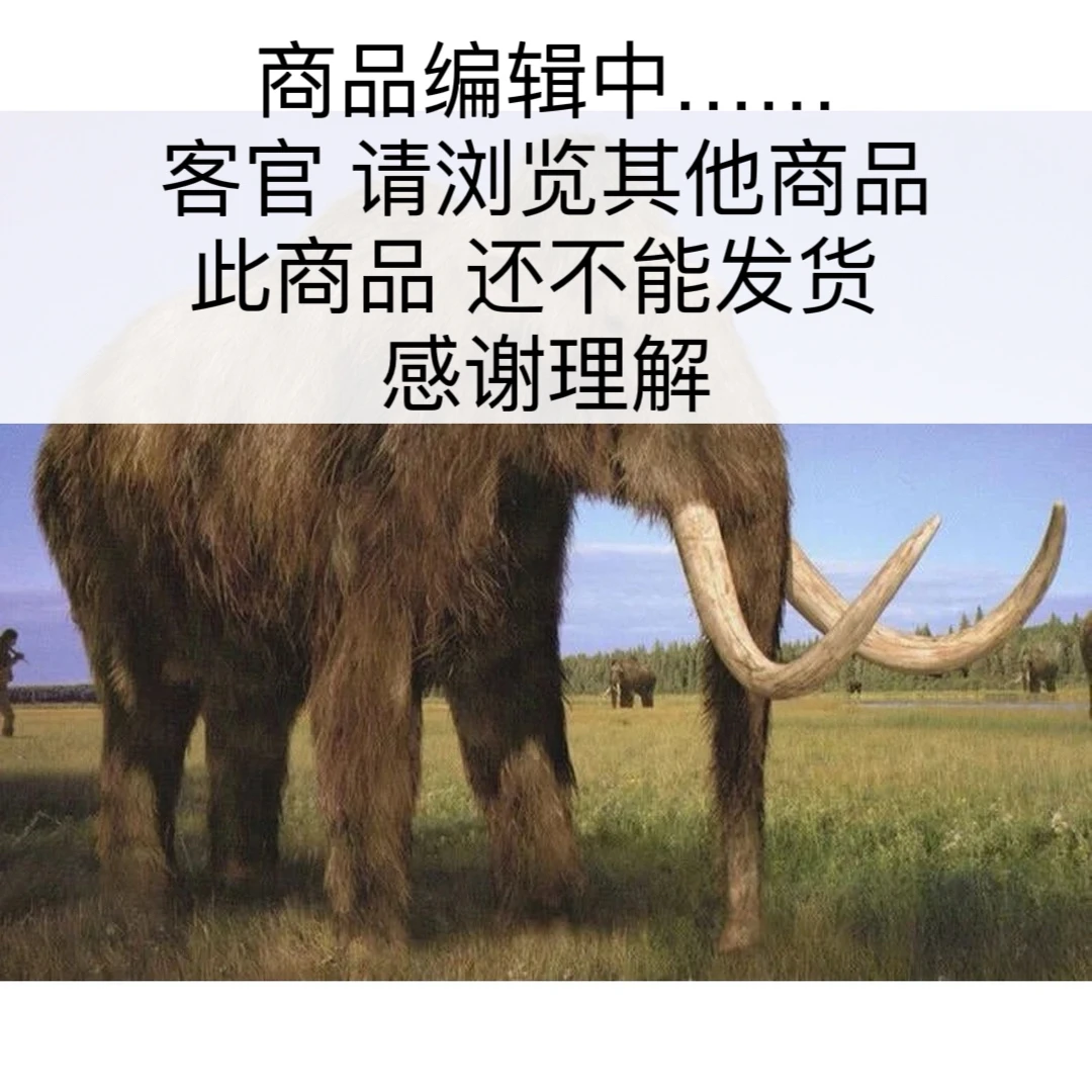 X4579天然猛犸牙 桶珠 18*19.4mm支持鉴定 假一罚四