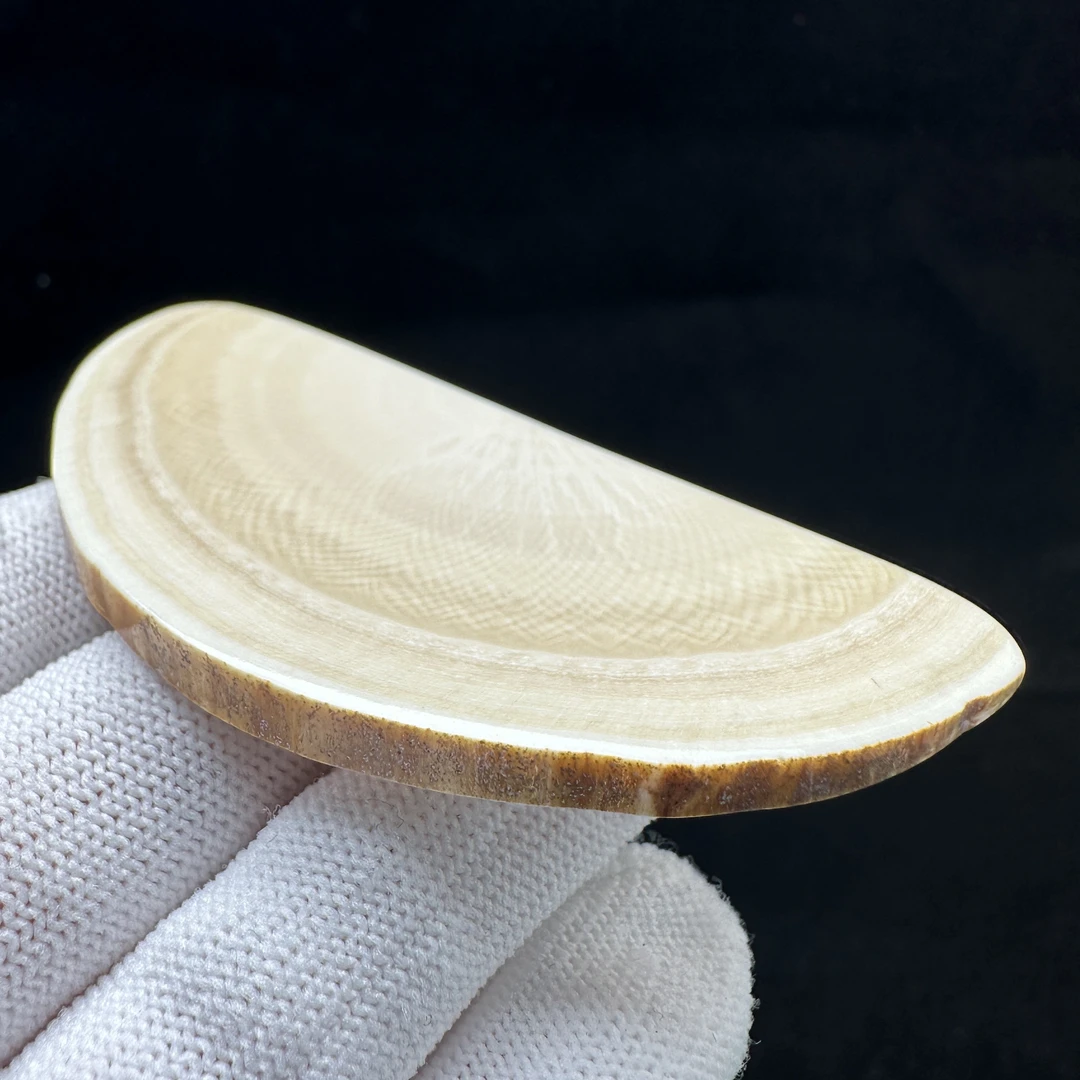 E2065天然猛犸牙 刮板 39.3*84.5*4.6mm支持鉴定 假一罚四