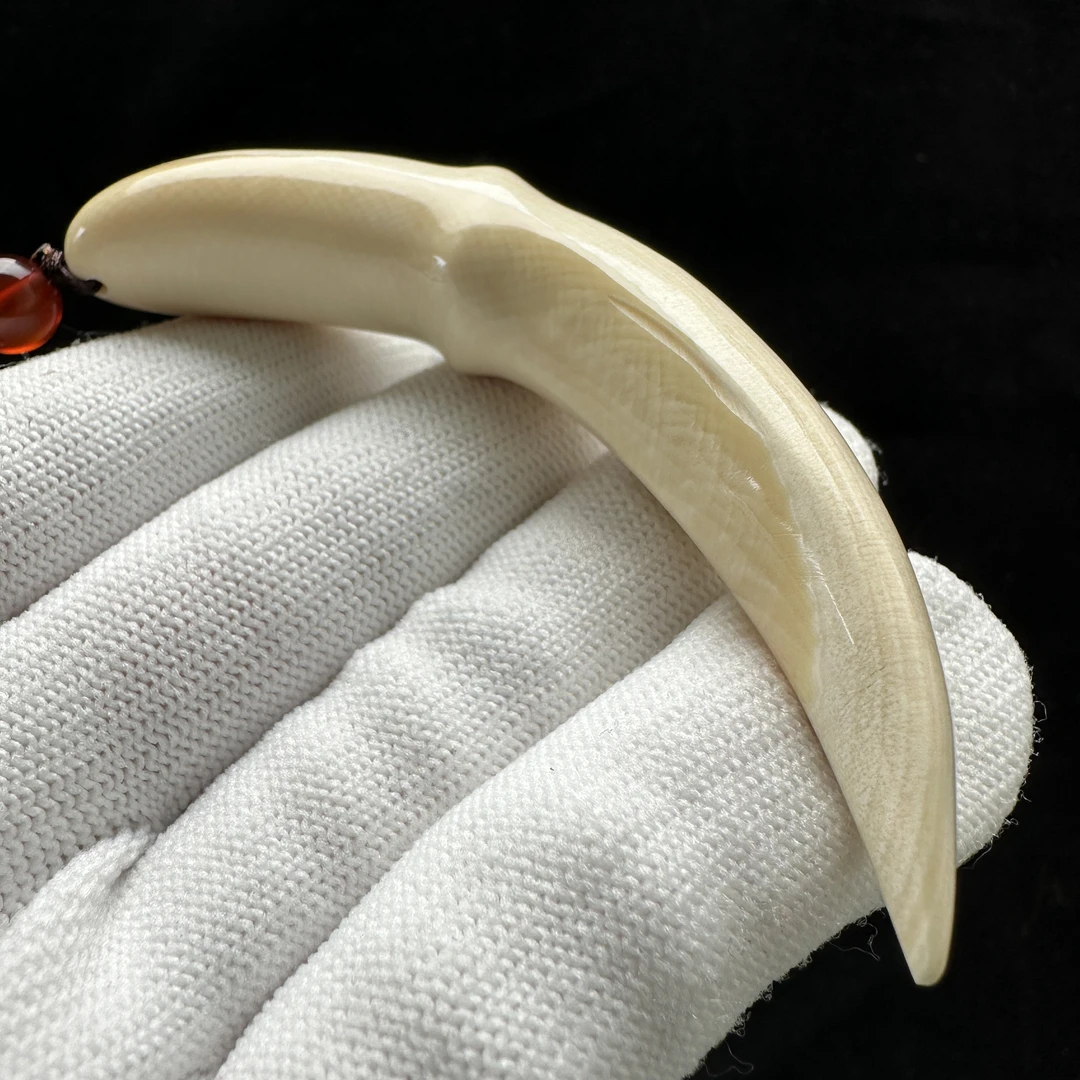 D2317天然猛犸牙雕刻牙尖 14*82.5mm支持鉴定 假一罚四