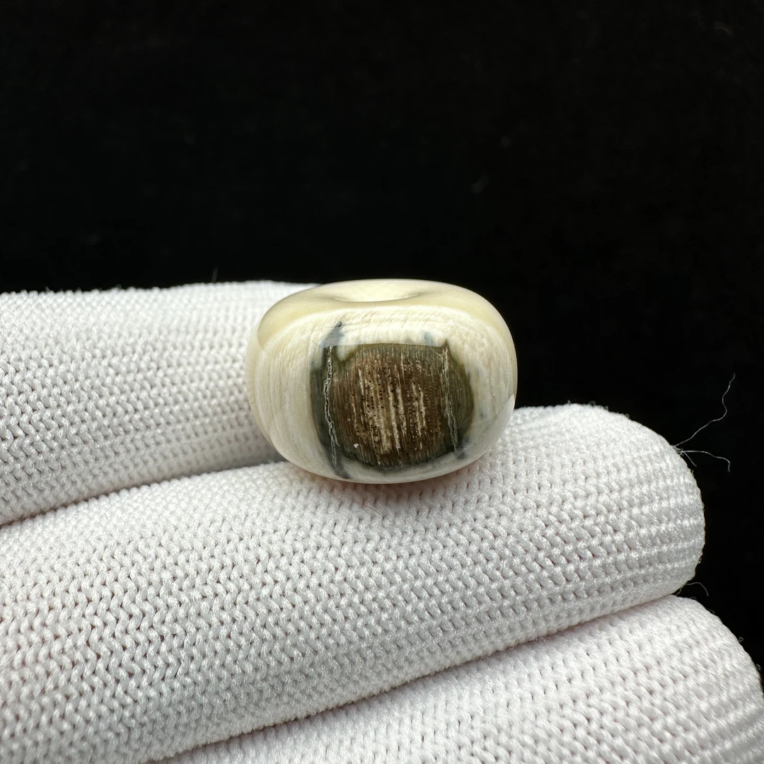 X1673天然猛犸牙 蓝眼睛桶珠19.8*12.5mm支持鉴定 假一罚四