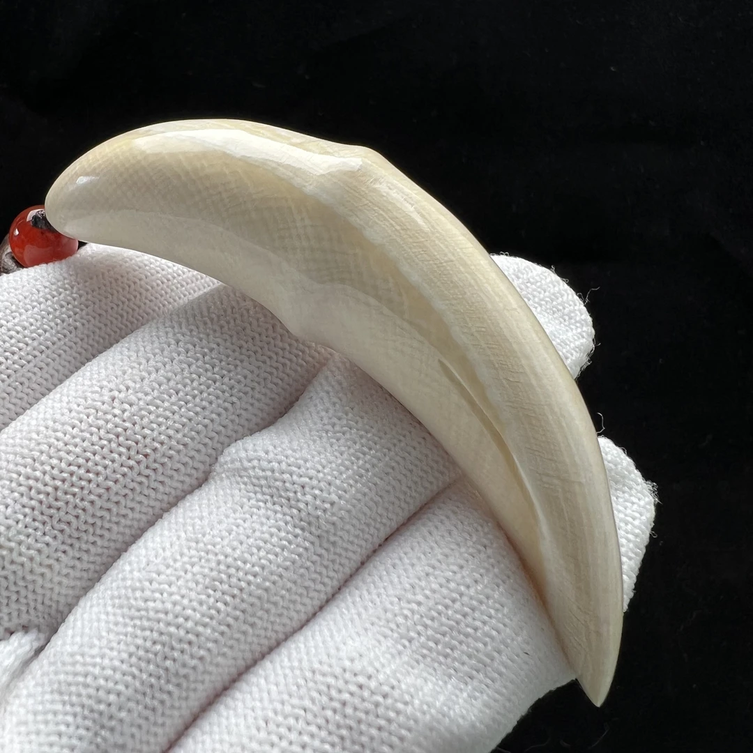 B1163天然猛犸牙雕刻牙尖 14.5*76mm支持鉴定 假一罚四