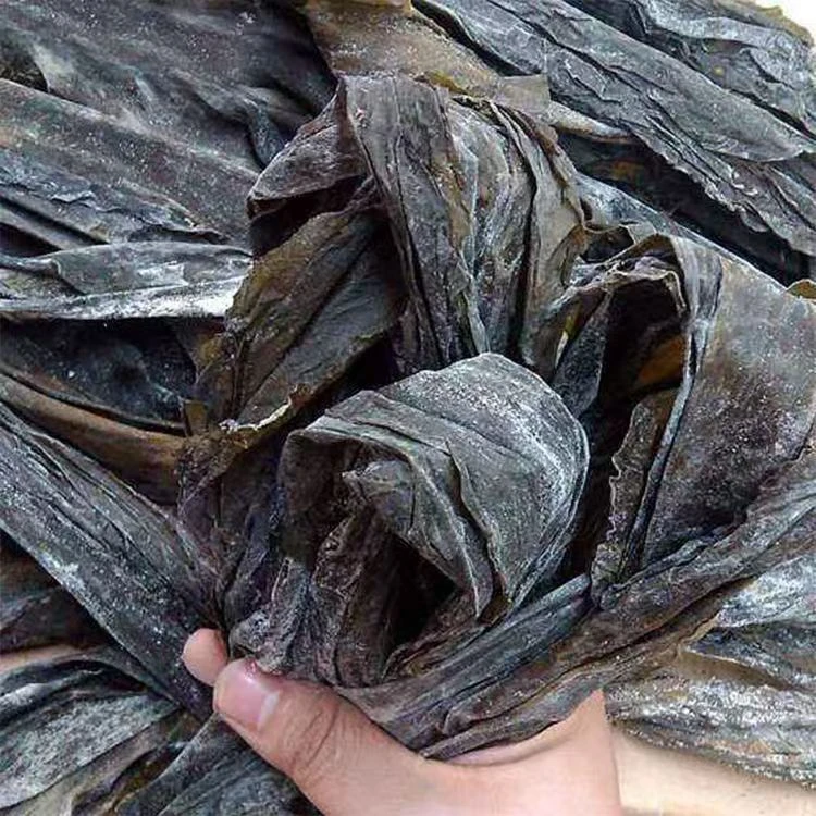 海带正宗福建海带肉厚特级精挑细选整条海带批发品质忧无碎菜
