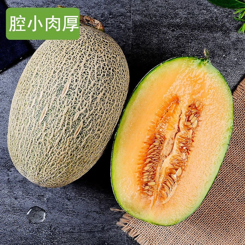 1【沙漠哈密瓜 产地直发】西州蜜甘肃蜜瓜口感脆甜5/7/8斤坏果包赔