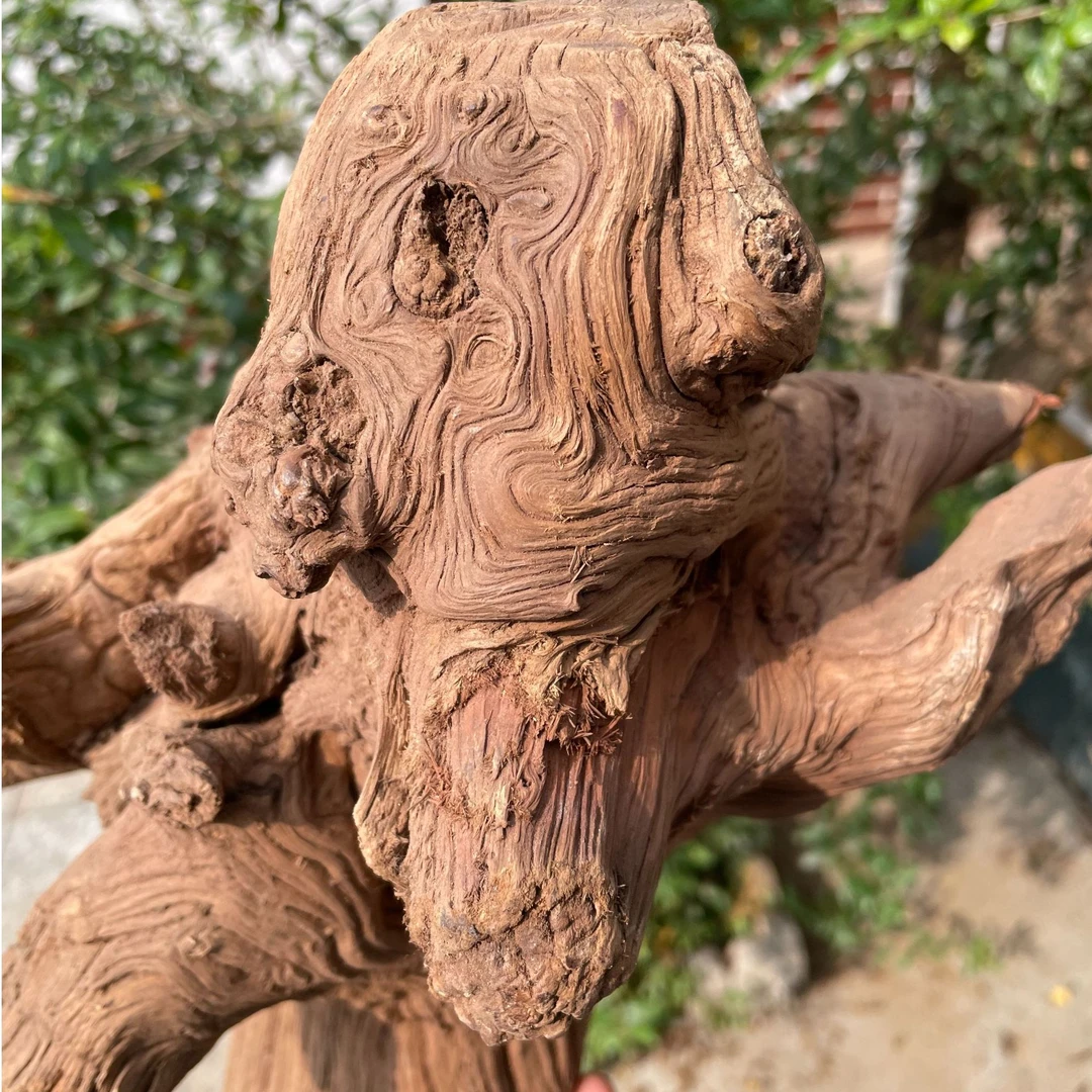 太行崖柏根雕新中式随型摆件