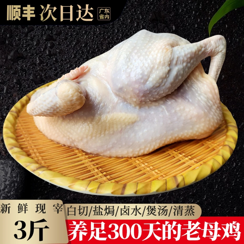 脆皮土鸡1只毛重4斤脆皮土鸡农家散养走地鸡 顺丰包邮