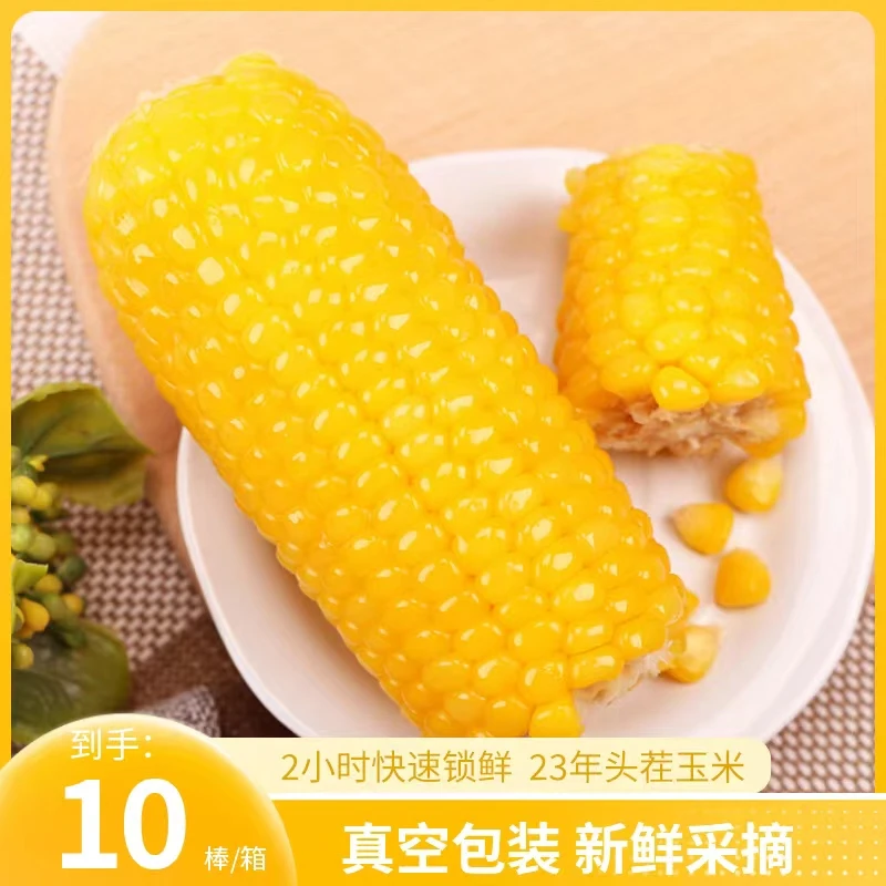 5斤装黄玉米东北黄糯玉米真空包装10支