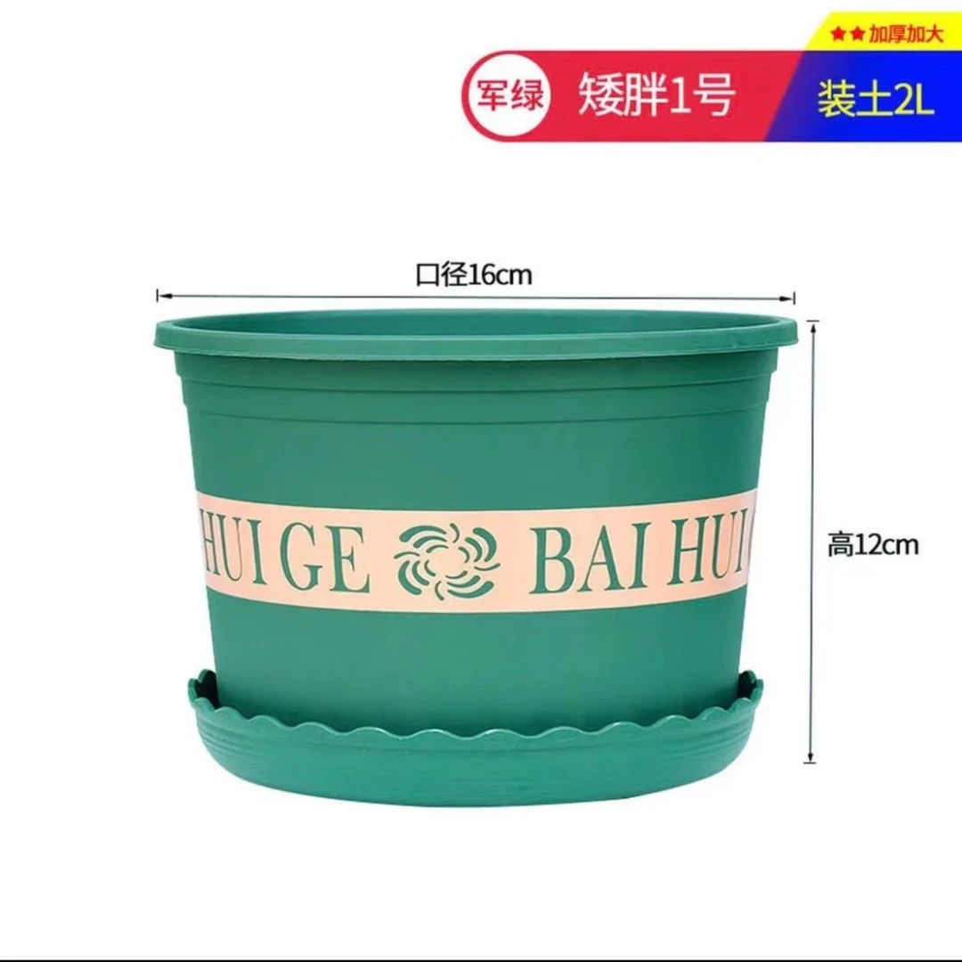 草莓专用加仑盆，1加仑