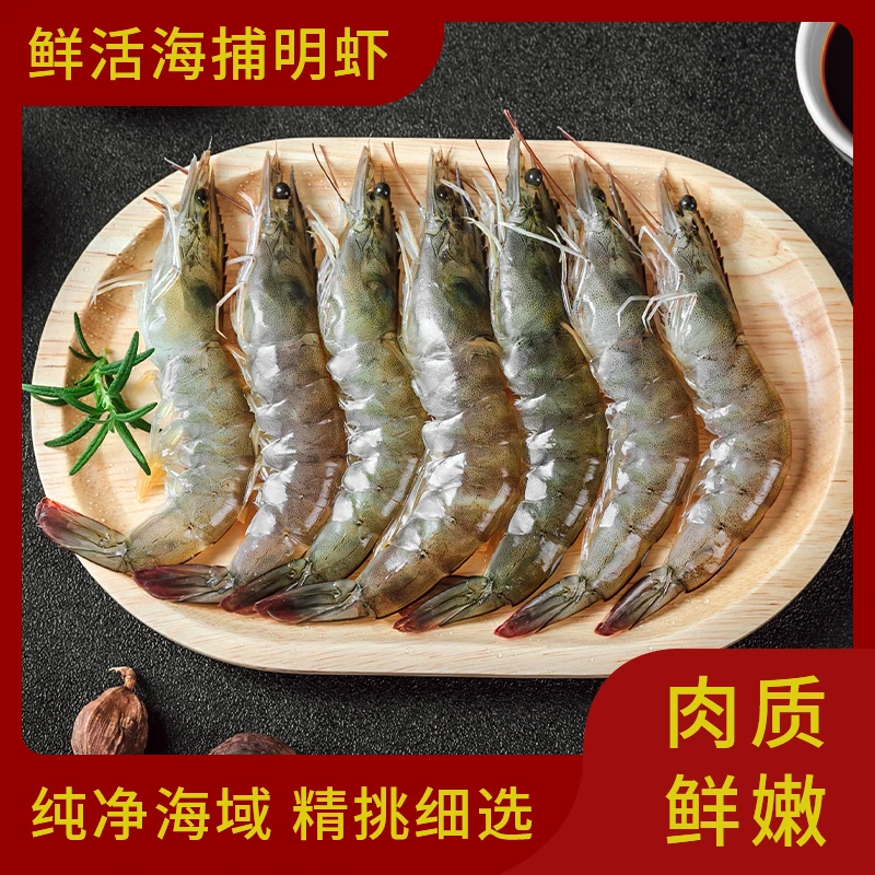 鲜活明虾 山东烟台（1500g）新鲜海捕活虾 保鲜不保活