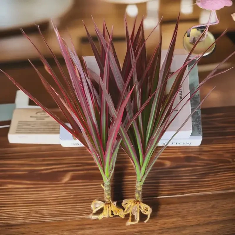 【直播专属】龙血树花卉盆栽光照绿植七彩铁三色红竹观叶花桌面产品