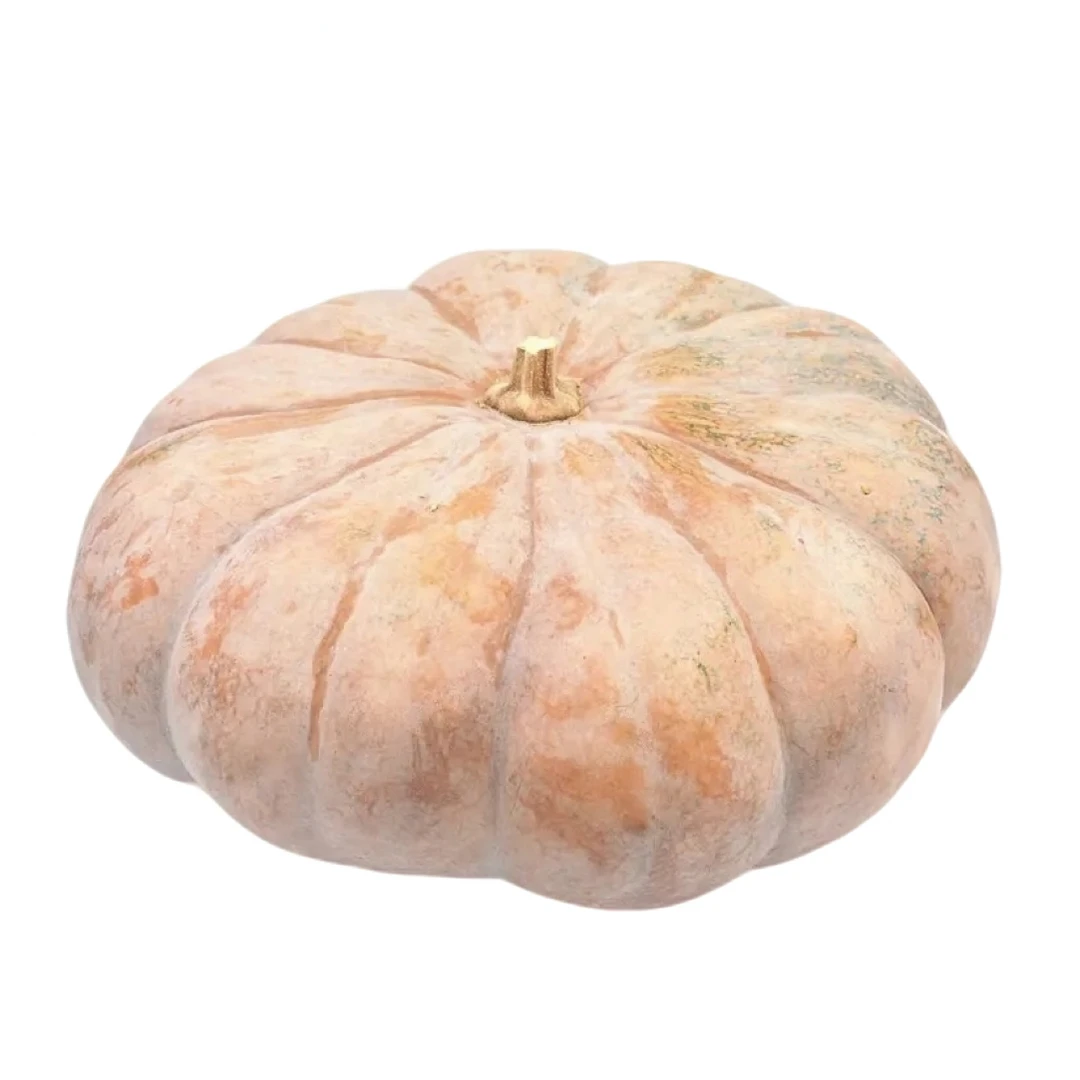 贵州农家磨盘南瓜老品种圆南瓜万圣节南瓜绿色健康宝宝辅食