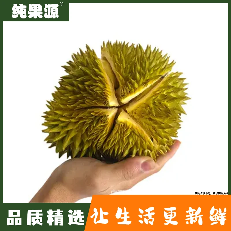 【纯果源小时达】手掌榴莲/一颗装