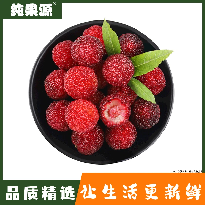 【纯果源小时达】东魁杨梅（约1斤）