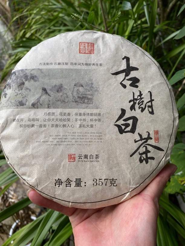 云南古树白茶（白茶）357g通用贡眉春季袋装珍藏传统大叶佳品