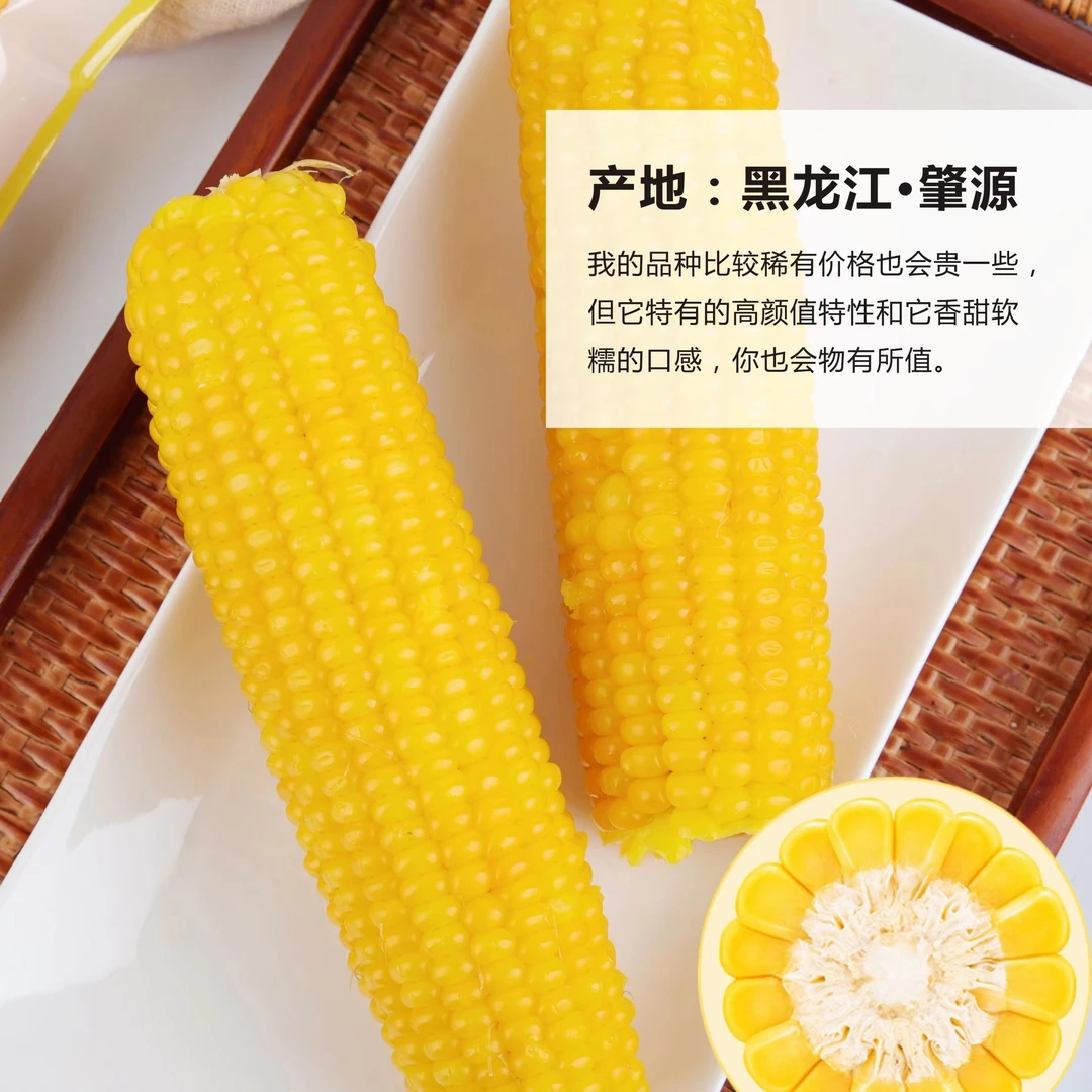 营养黄玉米新鲜香甜代餐真空包装鲜甜早餐低脂代餐甜糯颗粒饱蒸煮