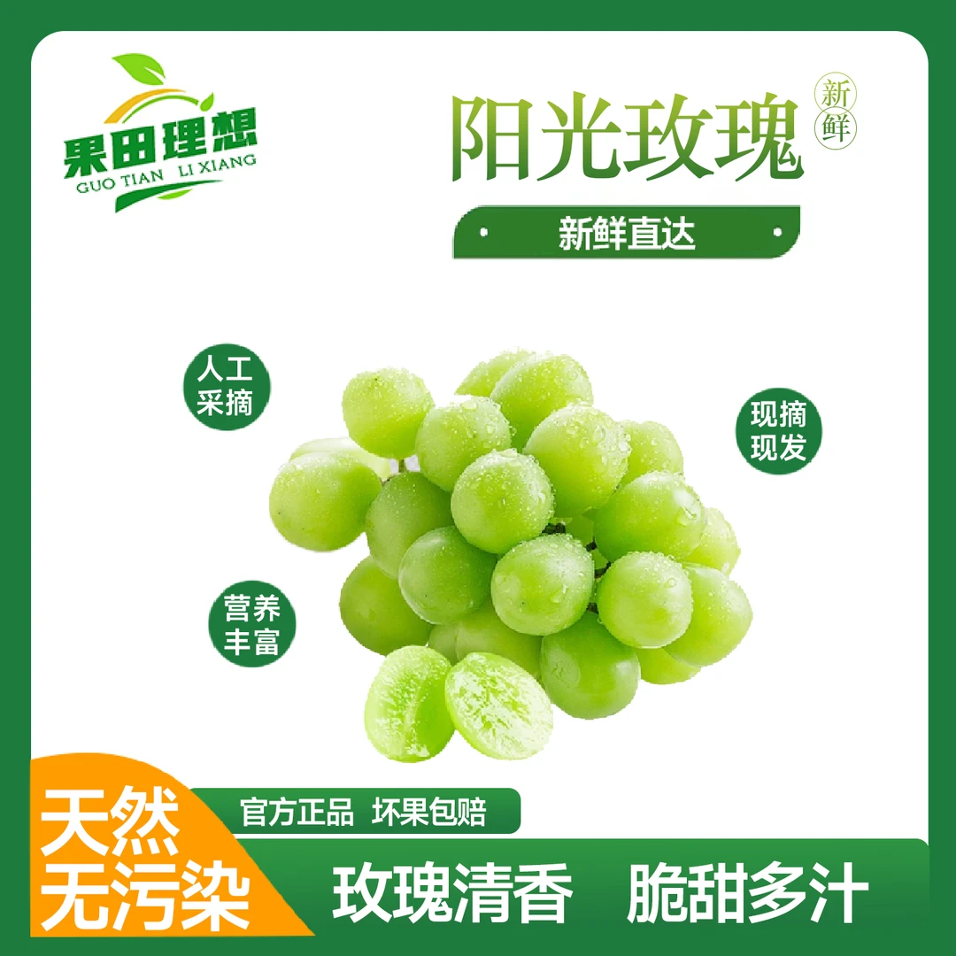 现货阳光果园葡萄颗粒新鲜水果礼盒晴王无籽香印青提当季整箱套袋