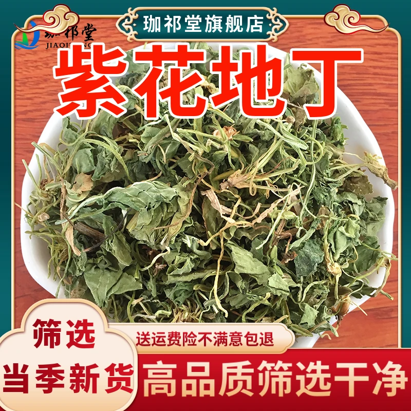 紫花地丁中药材新鲜干货 地丁草 草铧头草 犁头草