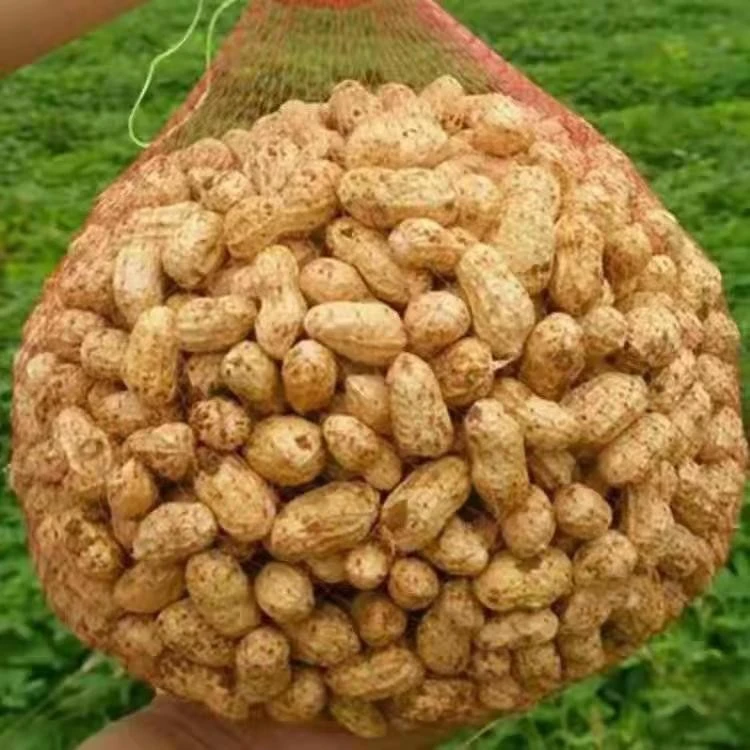 2025当季鲜花生现挖现发农家自种新鲜湿花生带壳粉皮新鲜花生包邮
