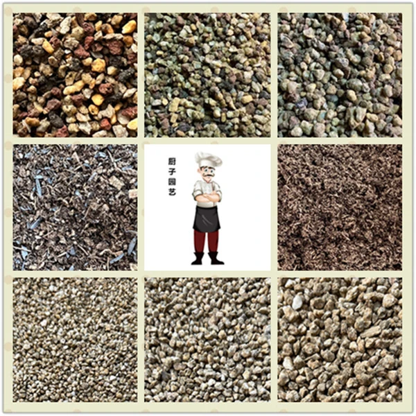 【厨子园艺】颗粒土品氏泥炭水洗麦饭石播种移苗控养捕虫堇