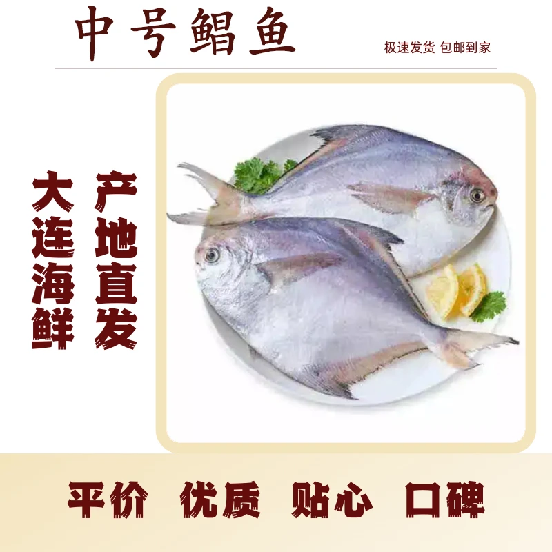 【大连本地中号野生鲳鱼】大连发货，三斤一份，冷冻发货，包邮