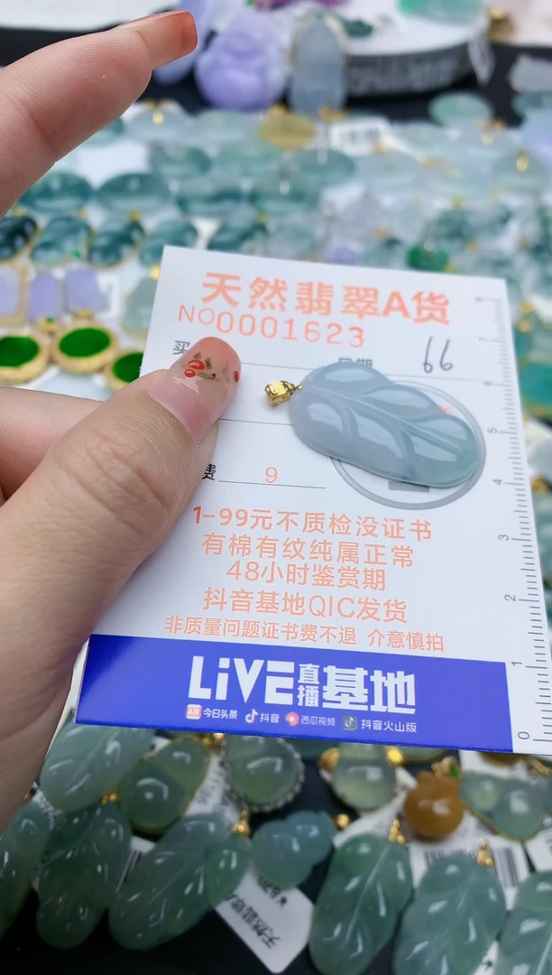 【闪购商品】翡翠颈饰未镶嵌天然缅甸A货翡翠66