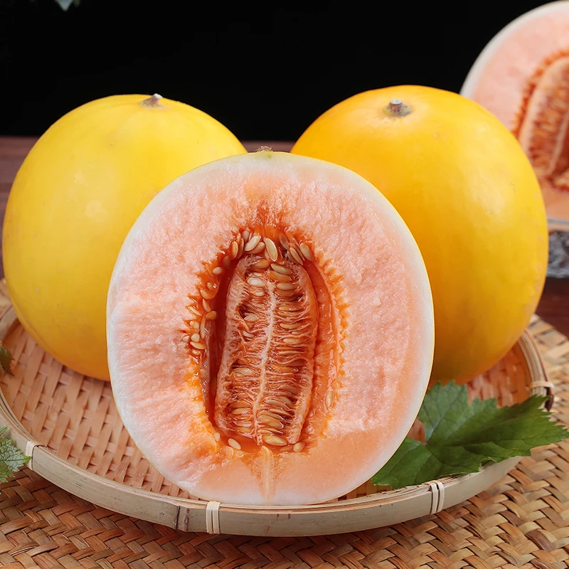 甘肃民勤沙漠蜜瓜3-4斤1个装金红宝甜瓜新鲜水果多仓发货