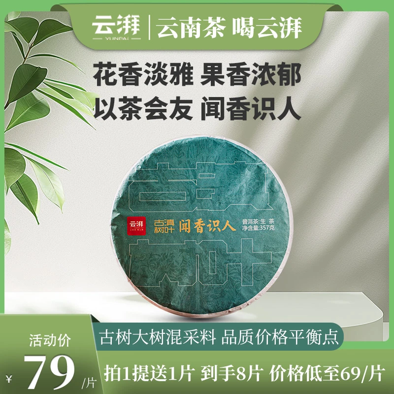 云湃闻香识人普洱生茶古滇树叶系列