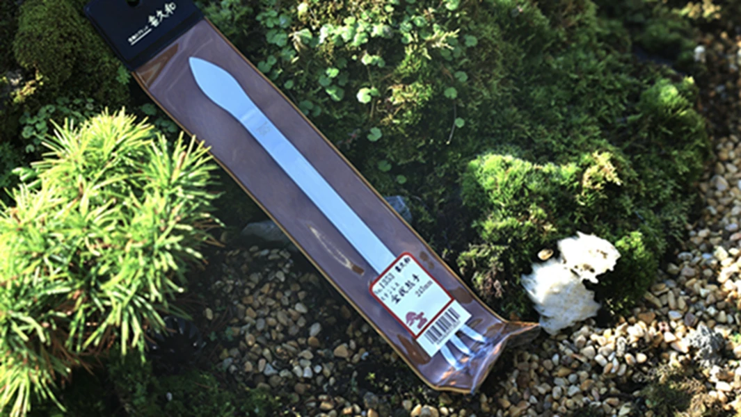 日本喜久和盆栽熊爪（1353）