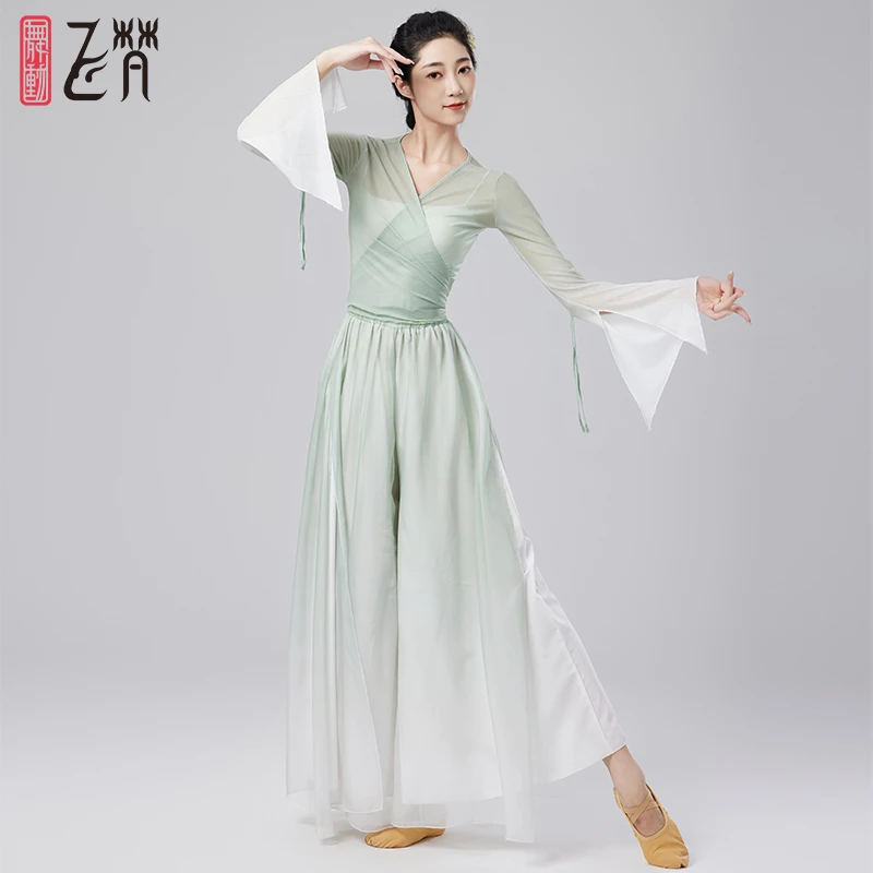 中国舞舞蹈服古典服女飘逸古典舞服装练功纱衣身韵服上衣新款网纱