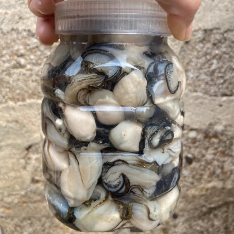 汫洲本地牡蛎肉粉蚝海蛎肉珍珠蚝蚝仔生蚝顺丰冷链冰鲜发货（小蚝）