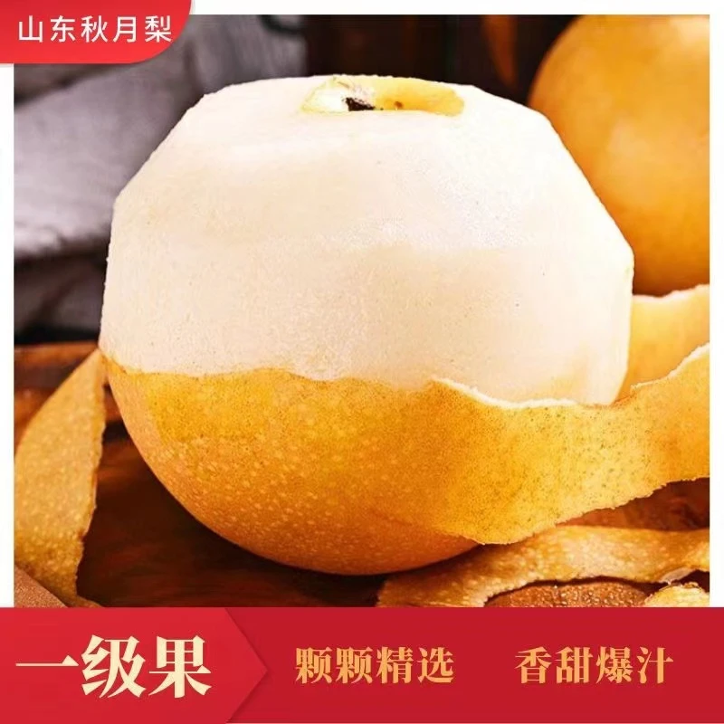 正宗莱阳秋月梨甜度高化渣好包邮脆甜多汁当季新鲜水果破损包赔