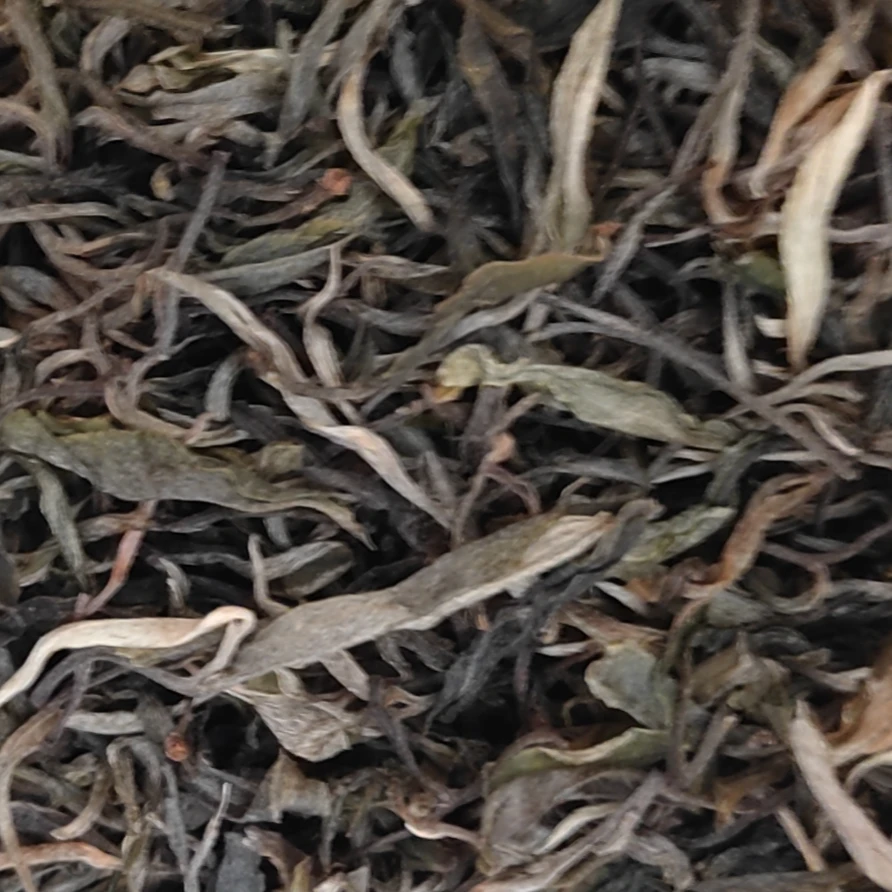 2010年邦东古树纯料 普洱茶生茶 散茶 200克