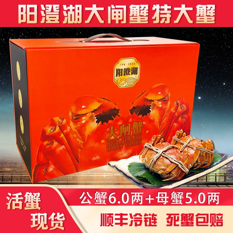 【活蟹】阳澄湖大闸蟹礼盒公蟹6.0两母蟹5.0两8只鲜活水产苏州塘养