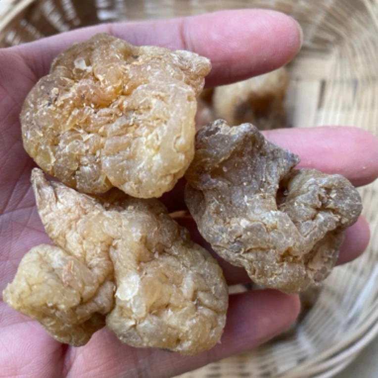 云南土特产 山货玉 金 灵500克