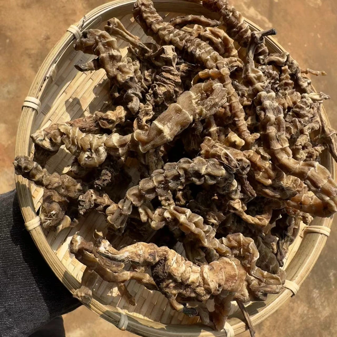 【小姜山货】正宗云南山货 虫草参250g 可搭配西洋参1