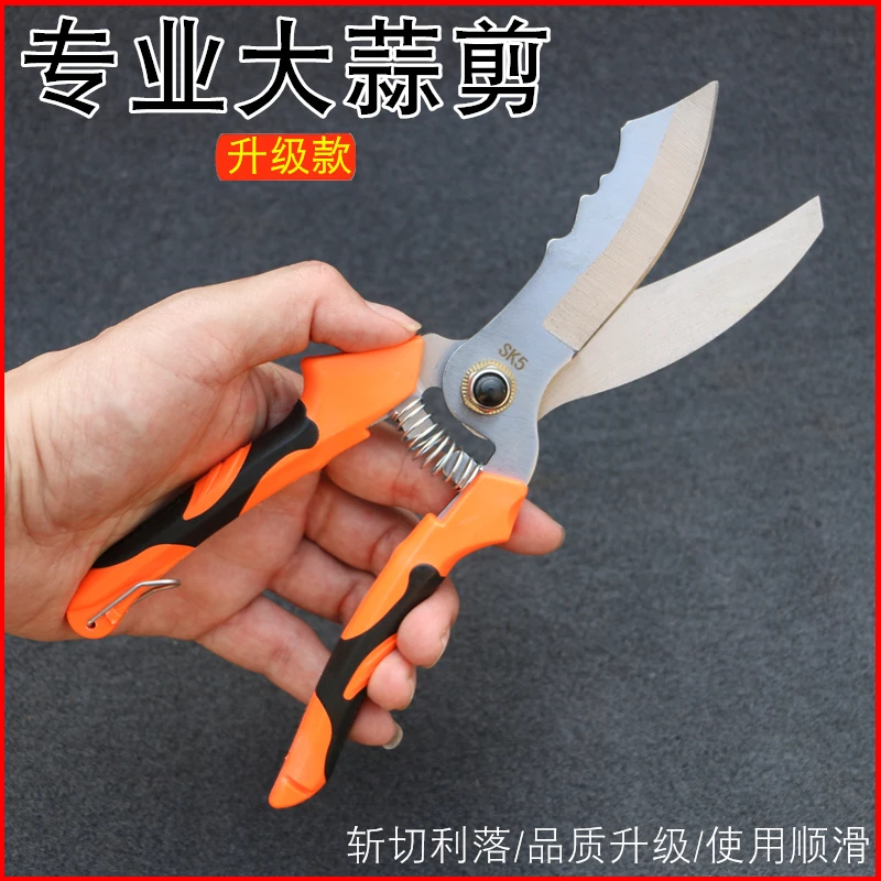 大蒜专用剪刀剪大蒜的剪子洋葱剪大蒜剪刀剪蒜神器剪蒜专用剪子