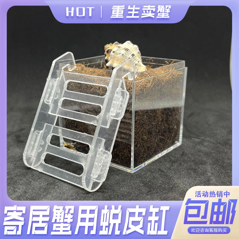 寄居蟹蜕皮缸内置迷你隔离桶防打扰爬宠助脱皮亚克力箱养蟹套餐盒