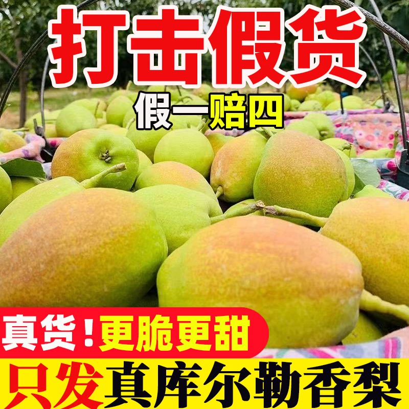 正宗新疆库尔勒香梨特级大果新鲜水果5/8斤当季整箱箱装母梨子