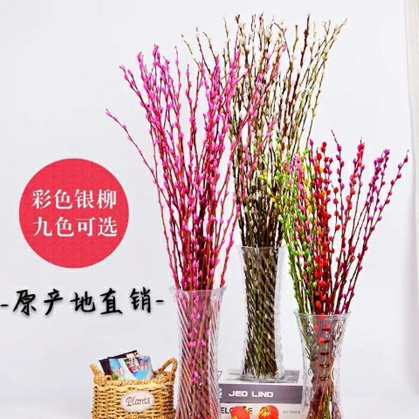 大红银柳干花真花鲜枝水养耐寒年宵花彩色红色室内装修装饰年宵花