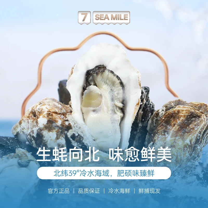 大连长海县冷水大生蚝5斤 3xl-7xl海鲜水产海蛎子鲜牡蛎刺身品质