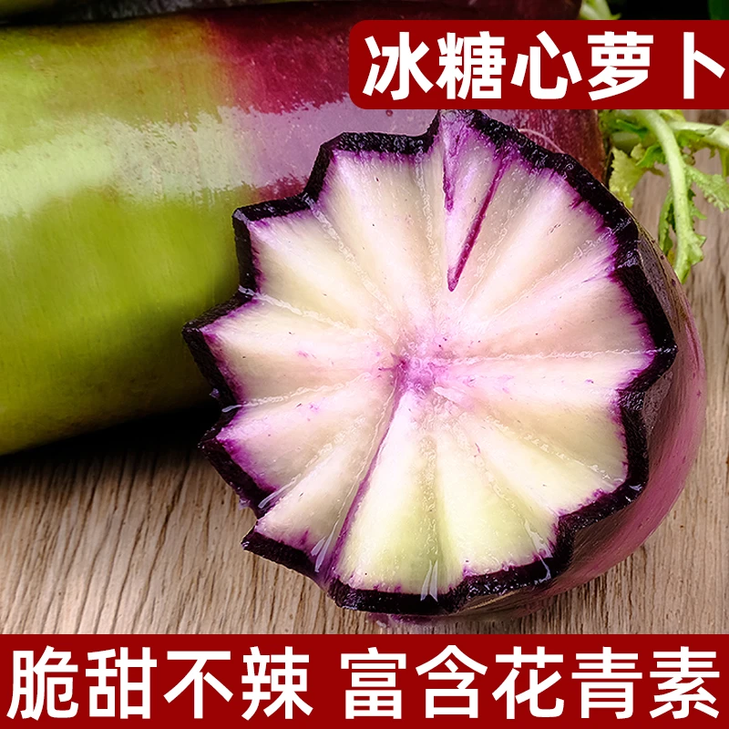 山东新鲜冰淇淋萝卜冰糖心萝卜脆甜爽口产地直发3-5斤