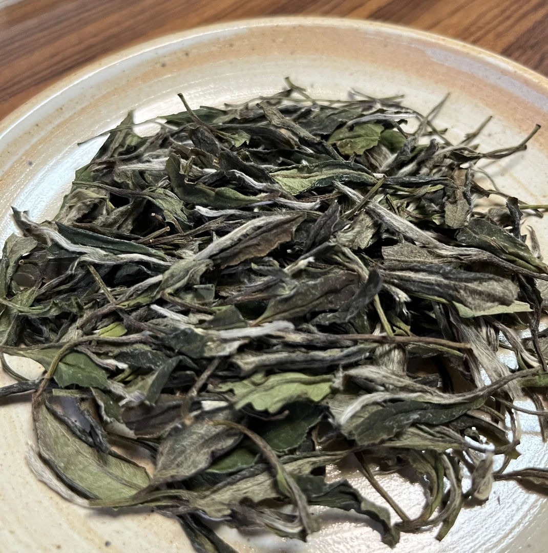 润古今白茶 福鼎白茶2022年 金奖寿眉